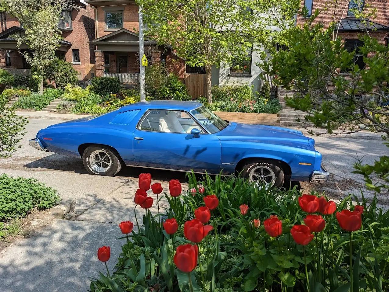 Pontiac Lemans снимка Pontiac Lemans