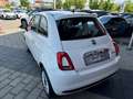 Fiat 500 Hybrid 1.0 Dolcevita*TAGESZULASSUNG* Wit - thumbnail 3