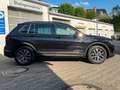 Volkswagen Tiguan 1.5 TSI DSG Life|SHZ|AppConnect|ACC|Klima Schwarz - thumbnail 4
