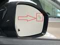 Land Rover Range Rover Velar Virtual-Cockpit ACC Kamera Memory Blau - thumbnail 19