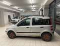 Fiat Panda Panda II 2003 1.2 Dynamic eco Silber - thumbnail 2