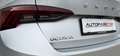 Skoda Octavia 2,0 TDI Premium Silber - thumbnail 9