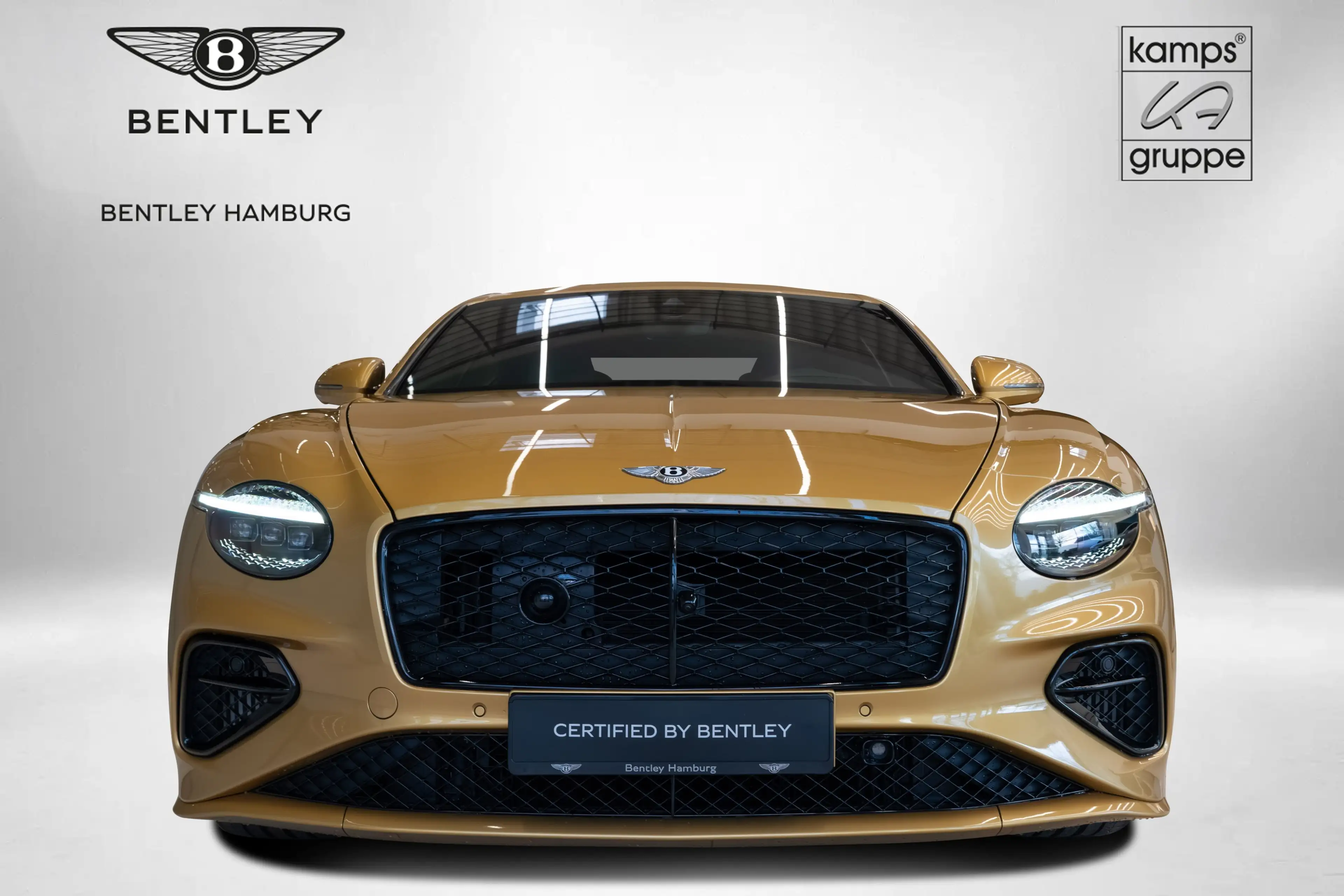Bentley Continental GT Speed *CarbonCeramicBrakes* — photo 2