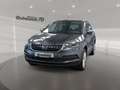 Skoda Karoq 1.5 TSI Clever AHK PDC 18'' CarPlay Grau - thumbnail 1
