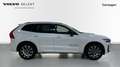 Volvo XC60 PLUS B5 MILD HYBRID GASOLINA DARK - thumbnail 5