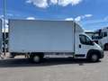 Citroen Jumper 3.0 HDI 177 PK Euro 5 Meubelbak Trekhaak Blanc - thumbnail 4
