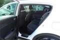 Kia Sportage 1,6 CRDI SCR Black Edition Weiß - thumbnail 8