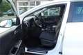 Kia Sportage 1,6 CRDI SCR Black Edition Weiß - thumbnail 7