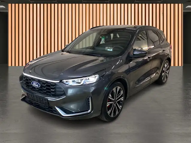Ford Kuga view 2