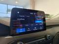Ford Focus 1.5 Ecoblue Trend+ 120 Aut. Azul - thumbnail 17