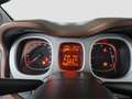 Fiat Panda Cross 1.3 MJT 95 CV S&S 4x4 PANDA CROSS 4X4 Verde - thumbnail 11