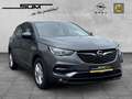 Opel Grandland 1.2 Turbo Edition, Navi-Rückfahrk. Gris - thumbnail 9