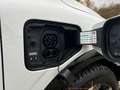 Renault Megane E-Tech EV60 220HP Winter Komfort-Paket Bianco - thumbnail 20