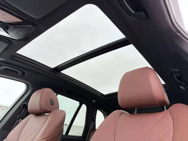 BMW X5 X5 view 8