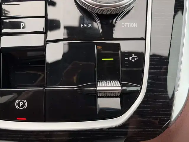 BMW X5 X5 view 12