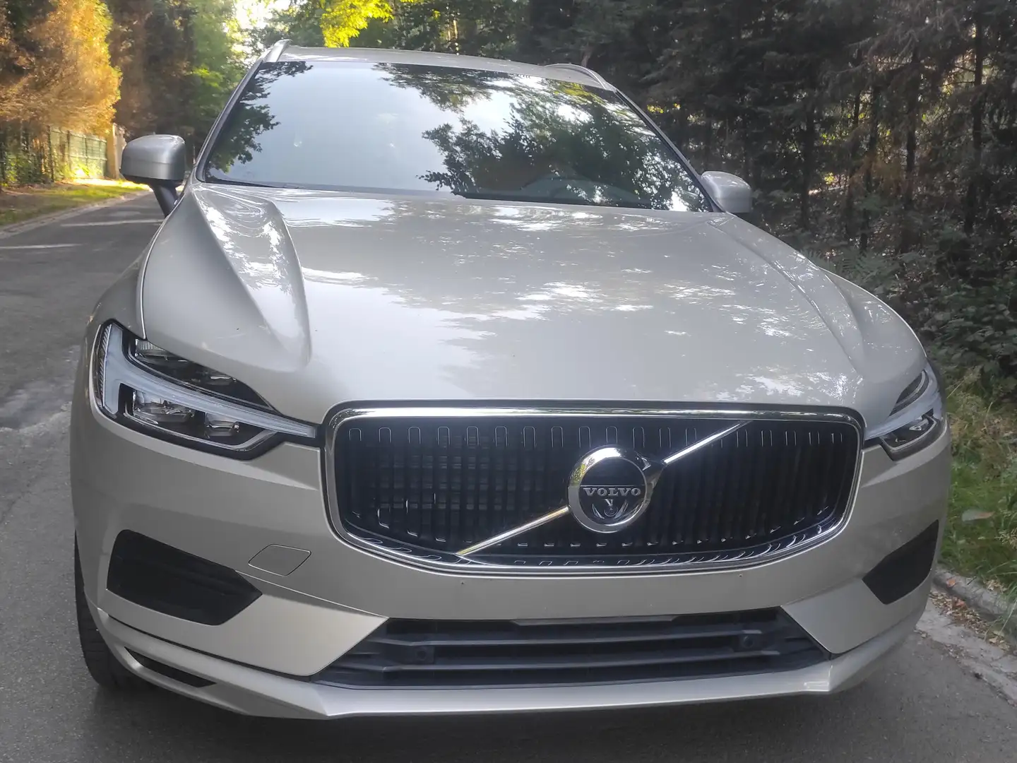 Volvo XC60 MomentumProT4Benzine,+Winterbanden+Trekhaaknclus Beige - 1