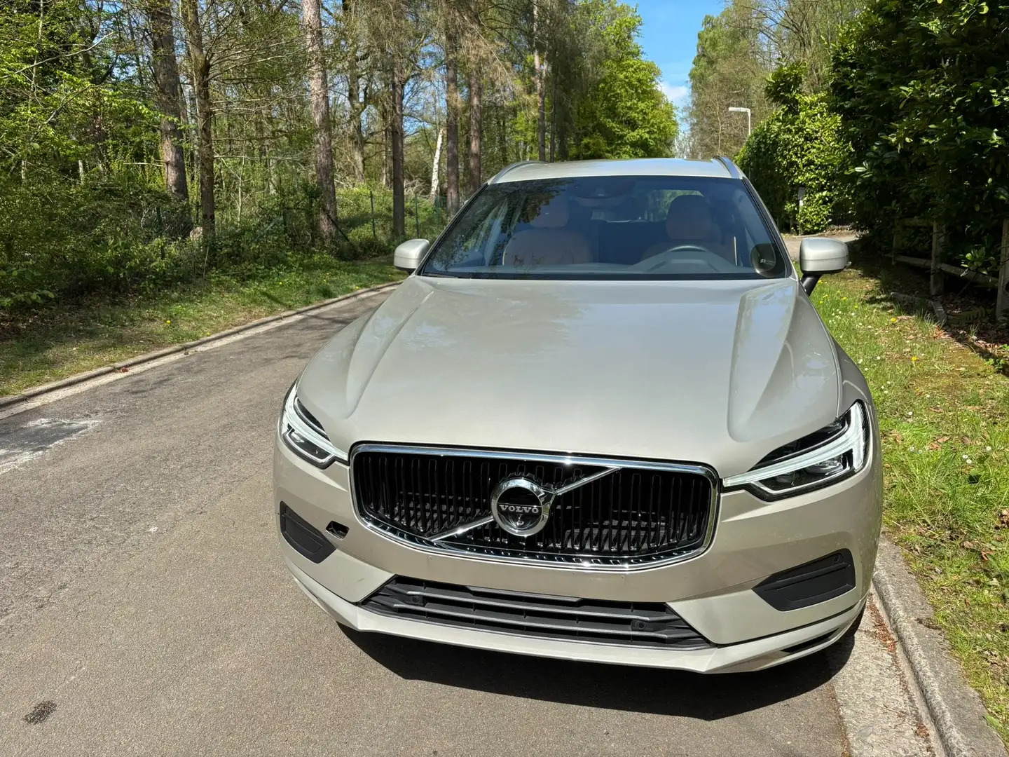 Volvo XC60 MomentumProT4Benzine,+Winterbandenset+Trekhaak Bej - 2