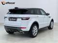 Land Rover Range Rover Evoque 2.0 TD4 180 CV 5p. SE Weiß - thumbnail 6