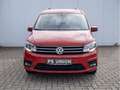 Volkswagen Caddy Maxi KLIMA PDC SHZ NAVI 7-SITZER Rot - thumbnail 2
