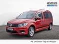 Volkswagen Caddy Maxi KLIMA PDC SHZ NAVI 7-SITZER Rot - thumbnail 1