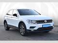 Volkswagen Tiguan Comfortline 2.0 l TDI DSG 4 MOTION Bianco - thumbnail 2