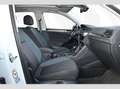 Volkswagen Tiguan Comfortline 2.0 l TDI DSG 4 MOTION Bianco - thumbnail 6