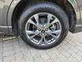 Ford Kuga ST-LINE*NAVIGATION*LED*KAMERA* Grau - thumbnail 12