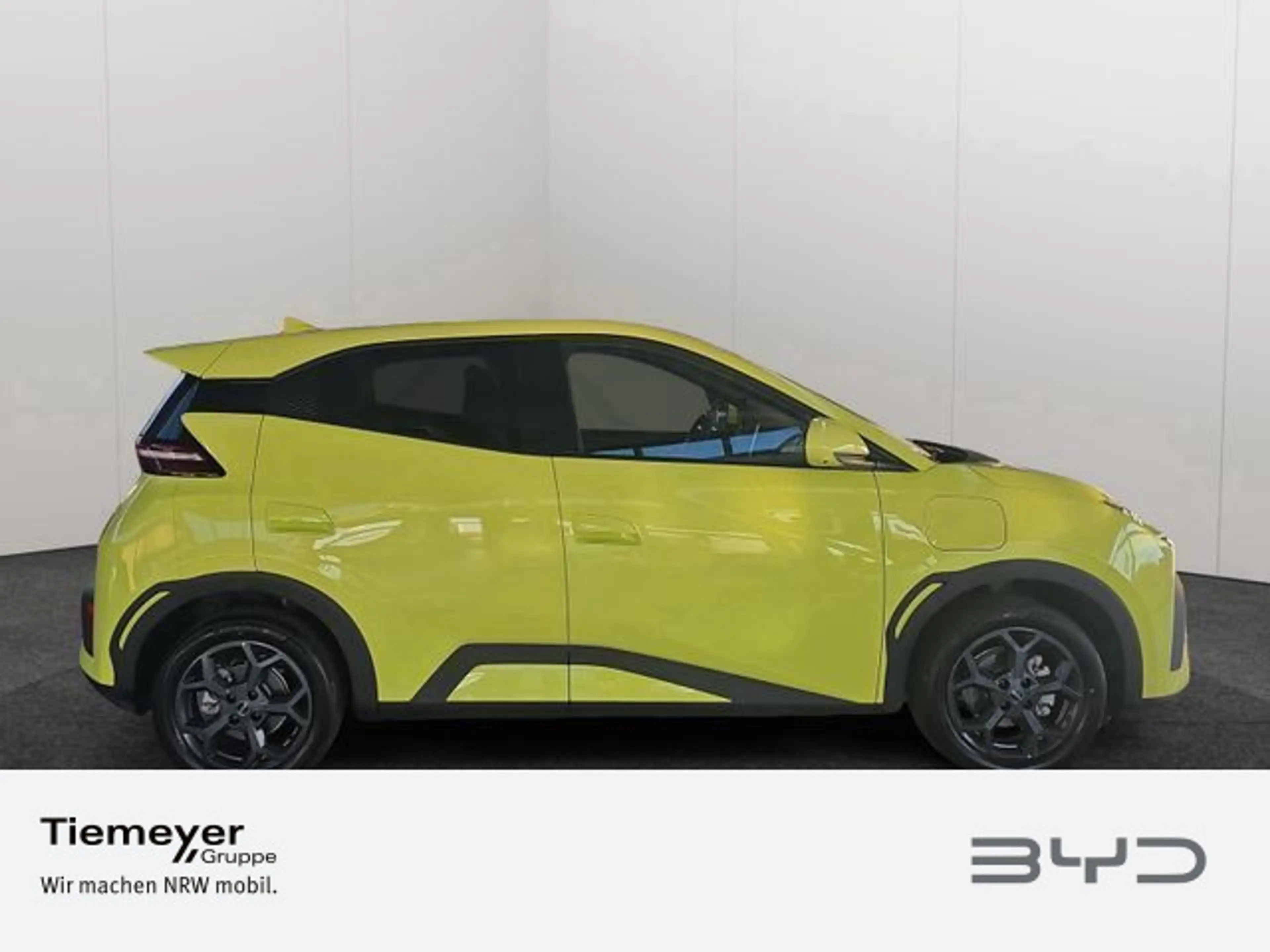 BYD Dolphin Surf MJ 26 Comfort 43kWh Batterie — photo 3