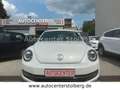 Volkswagen Beetle Lim. Design "NAVI-SITZH-LEDER-MULTI" White - thumbnail 3
