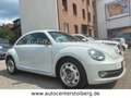 Volkswagen Beetle Lim. Design "NAVI-SITZH-LEDER-MULTI" White - thumbnail 2