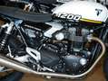 Triumph Speed Twin "1200", Sofort Verfügbar Alb - thumbnail 4