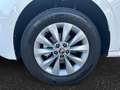Skoda Kamiq Ambition 1.0 TSI 81 kW (110 CV) 7 marce - DSG Bianco - thumbnail 11