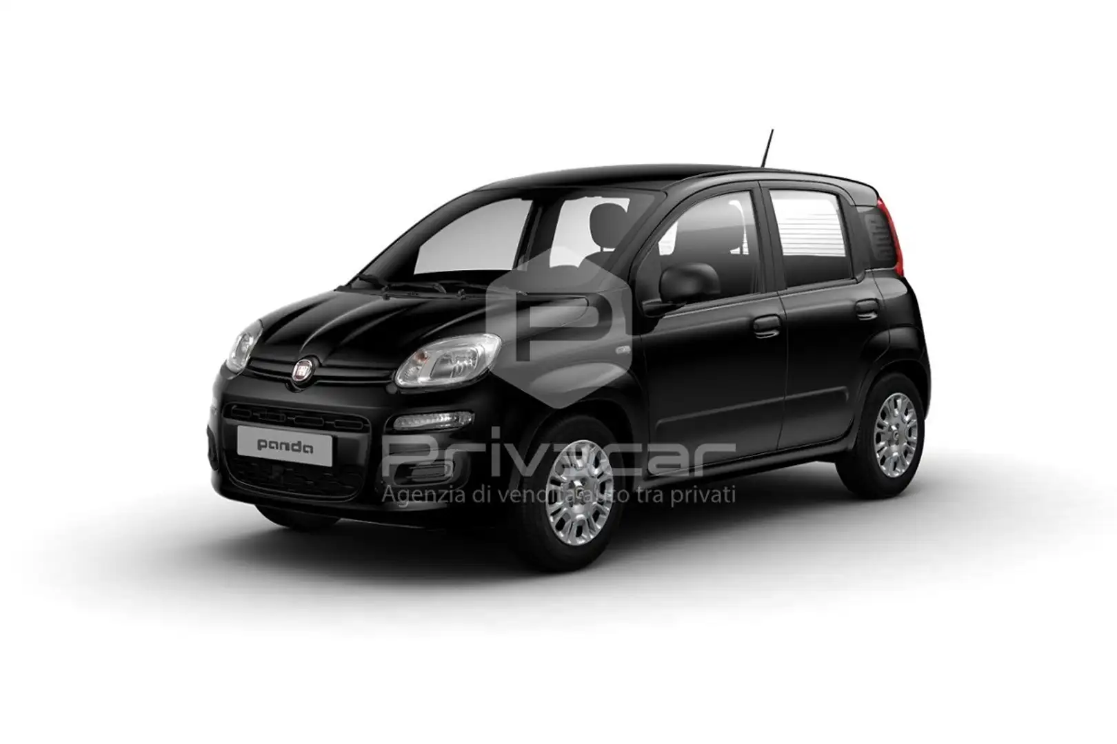 Fiat New Panda Panda 1.0 FireFly S&S Hybrid Schwarz - 1