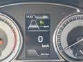 Suzuki S-Cross Suzuki SX4 S-Cross 1,4 DITC Hybrid shine Grau - thumbnail 18
