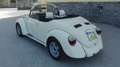 Volkswagen Maggiolino ROADSTER, CABRIOLET Beige - thumbnail 5