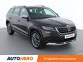 Skoda Kodiaq 2.0 TDI Scout 4x4 Braun - thumbnail 8