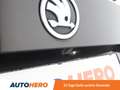 Skoda Kodiaq 2.0 TDI Scout 4x4 Braun - thumbnail 32