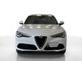Alfa Romeo Stelvio 2.0 Turbo 280 CV Q4 Executive - UNIPROP. - Cam - Bianco - thumbnail 2
