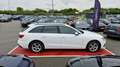 Audi A4 35 TFSI 150 BUSINESS LINE Blanc - thumbnail 2