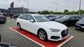 Audi A4 35 TFSI 150 BUSINESS LINE Blanc - thumbnail 5