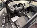 Ford Focus SW 1.5tdci 120cv Titanium Tagliando + Garanzia 12m Noir - thumbnail 10