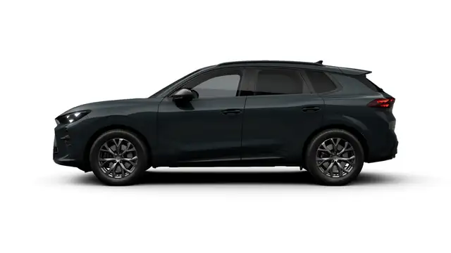 Cupra Terramar view 6