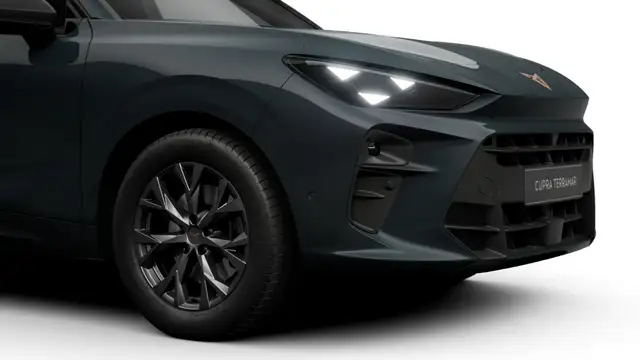 Cupra Terramar view 4