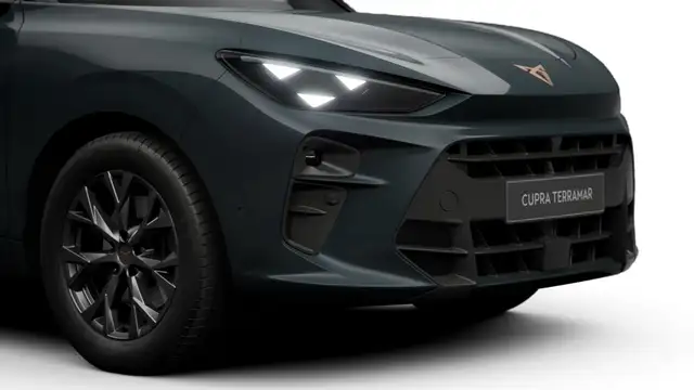 Cupra Terramar view 8