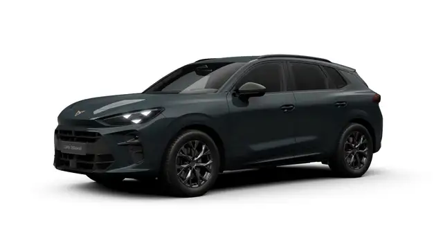 Cupra Terramar view 2