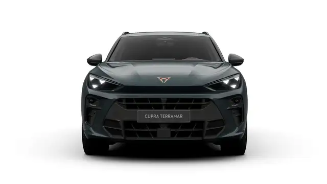 Cupra Terramar view 3