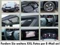 Skoda Kodiaq 2.0 TSI DSG Drive 4x4 PANO*AHK*CANTON*RFK*S Grau - thumbnail 6