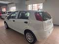 Fiat Punto Punto 5p 1.3 mjt 16v Classic Wit - thumbnail 4