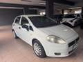 Fiat Punto Punto 5p 1.3 mjt 16v Classic Wit - thumbnail 3