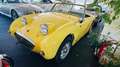Austin Sonstige Sprite MK1 FROG Eye 1959er RHD Gelb - thumbnail 16